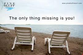 Beach Chairs