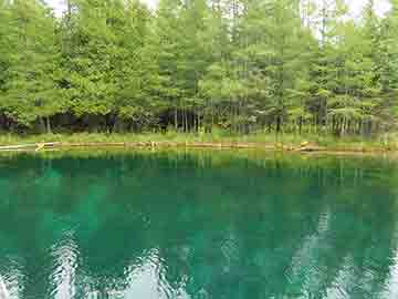 Kitch-iti-kipi Spring