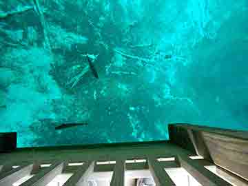 Kitch-iti-kipi Spring