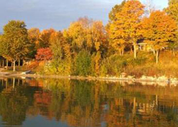 Beautiful Colors in the Fall