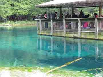 Kitch-iti-kipi spring