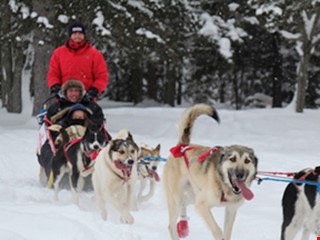 Nature's Kennel Sled Dogs