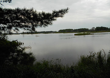 Seney Wildlife Refuge