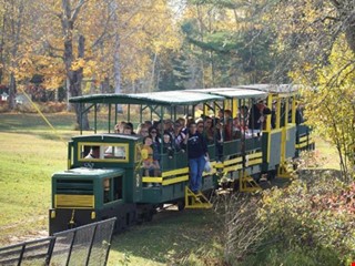 Train and River Boat Tours