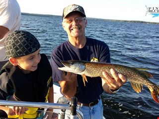 Walleye