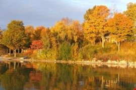 Autumn Colors